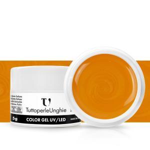 Gel color melone 5g