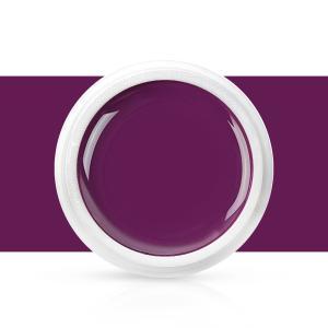Gel color bacca viola 5g