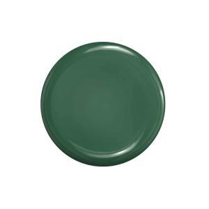 Smalto semipermanente vert d'orient 15ml