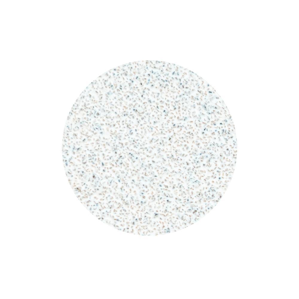 Set 50 Dischi Ricarica STALEKS per PODODISC L linea EXPERT 80 grit 